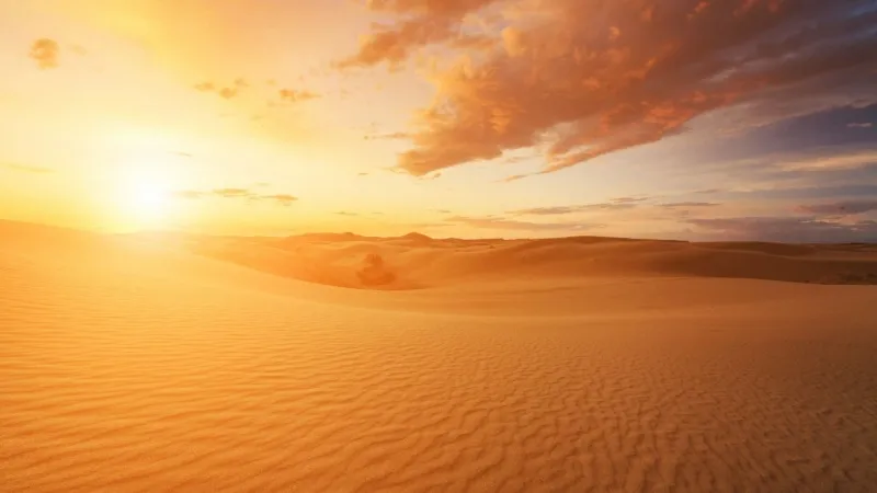 رحلات سفاري صحراوية في الرياض