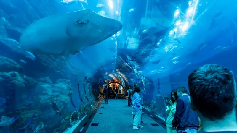 دبي أكواريوم