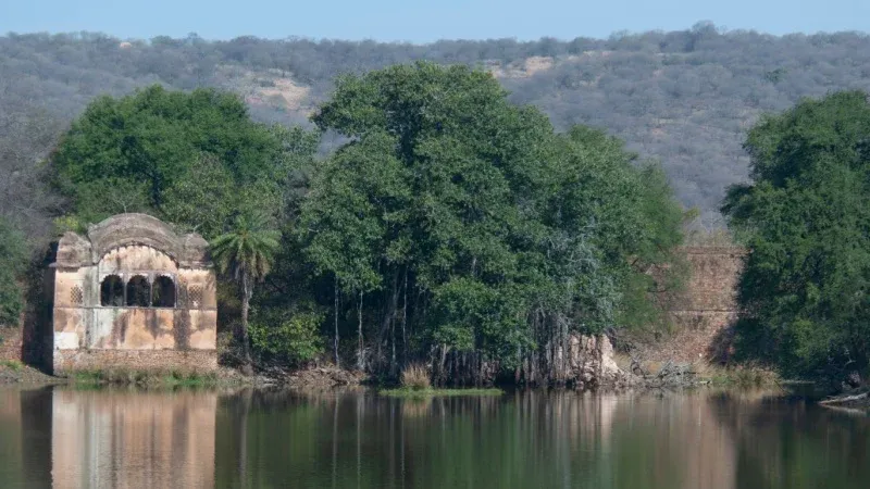 Jogi Mahal and Padam Talao