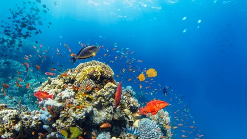 Kozhikode’s Marine World