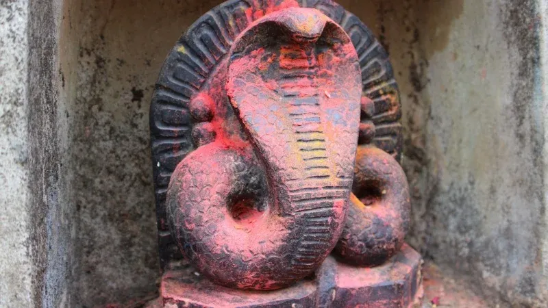 Nag Panchami