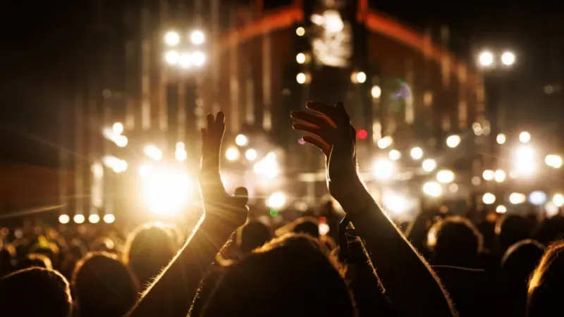 World Music Festival 2025 Artist