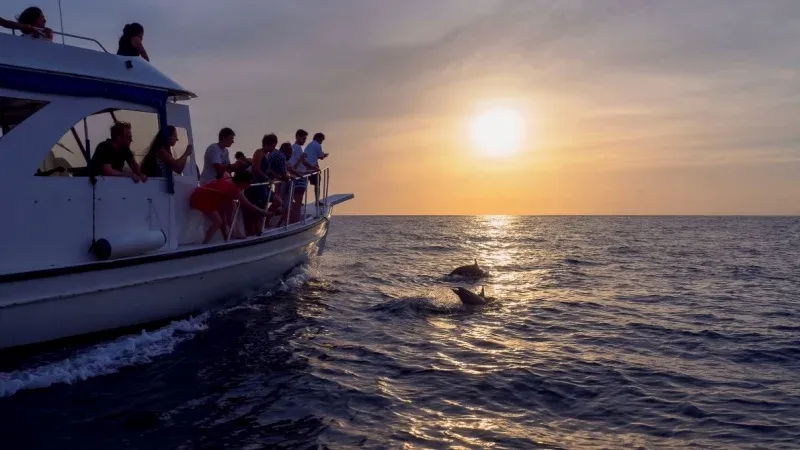 Leisurely Bliss and Ocean Whispers