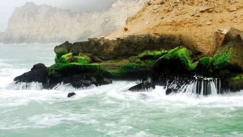 4 Reasons to Visit Salalah During Khareef Festival 2025