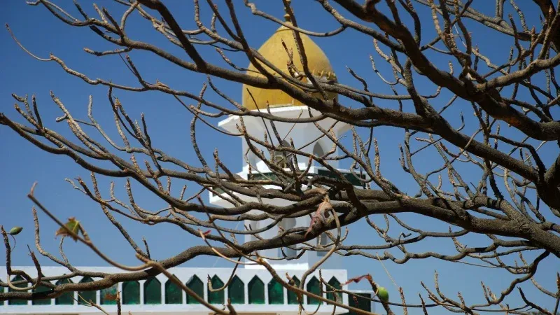 Visit the Tomb of Nabi Ayoub (Prophet Job’s Tomb)