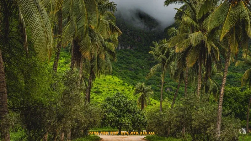 13 Things to Do in Salalah for a Memorable Holiday