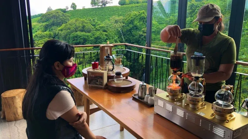 Hacienda Alsacia Starbucks Coffee Farm