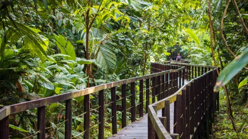 Cahuita National Park