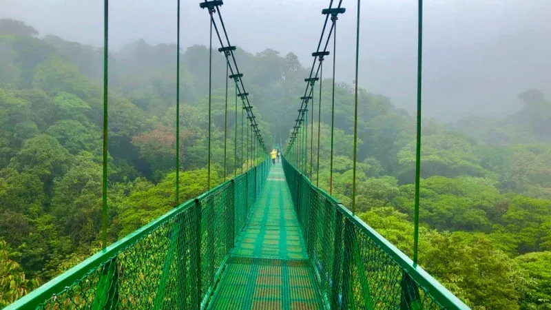 Monteverde Cloud Forest
