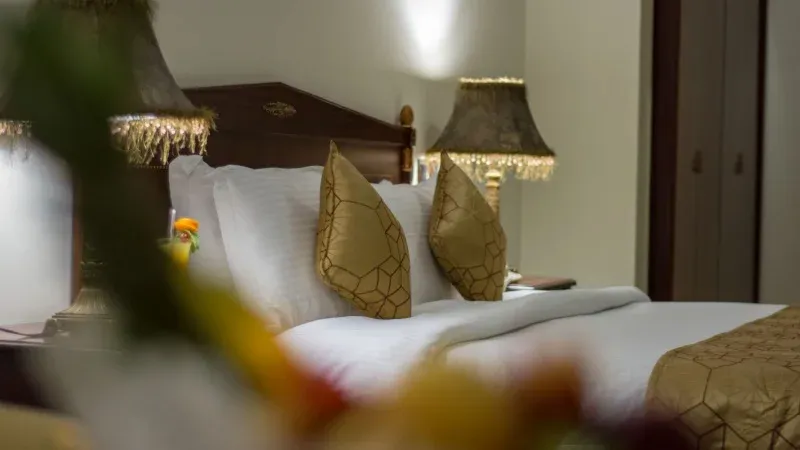 دانة ريحان من روتانا