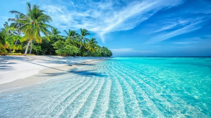 شاطئ جزيرة المرجان