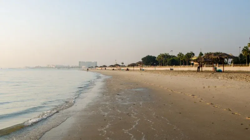 شاطئ النخيل