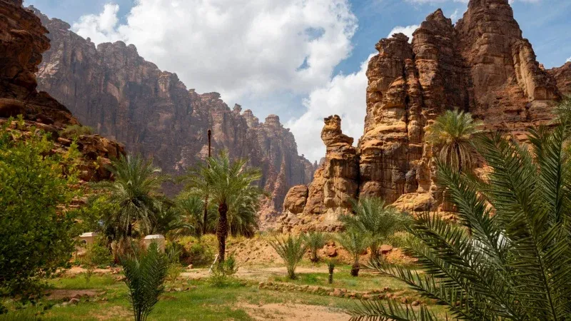 Wadi Disah