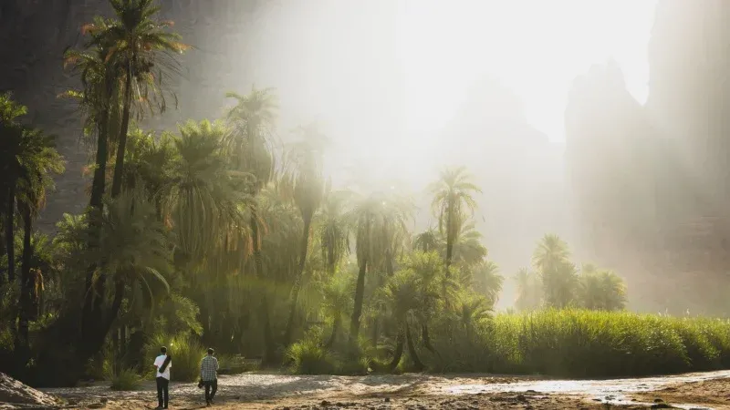 Prince Sultan Bin Abdul Aziz Park