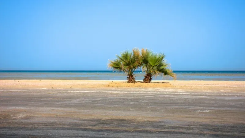 لماذا يُعد شاطئ نصف القمر وجهةً شهيرةً في الدمام؟