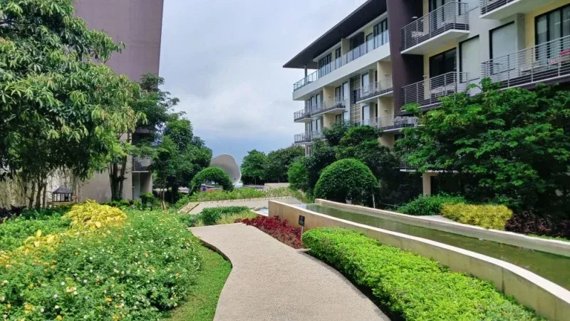 منتجع جولدن توليب خليج الدانة