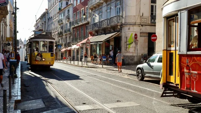 Exploring the City & Lisbon Oceanarium