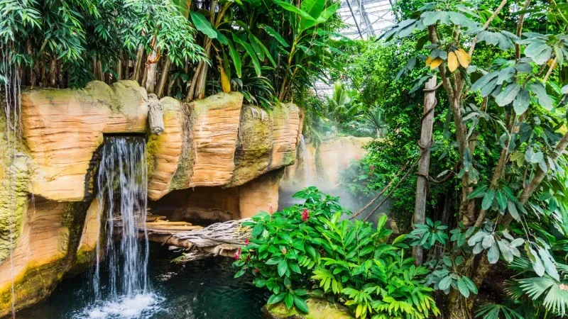 Jungle Land Theme Park