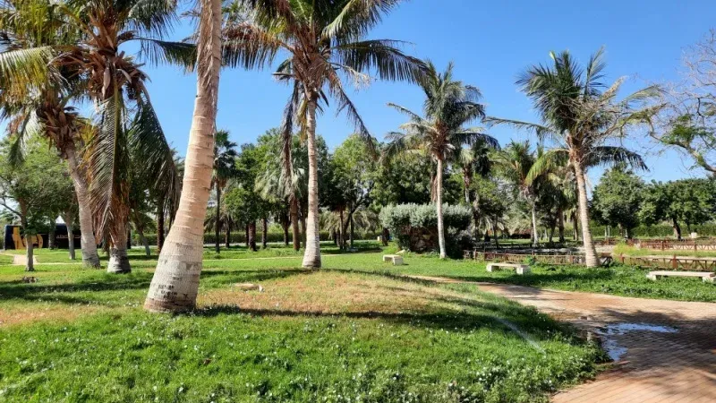 حديقة الفيروز