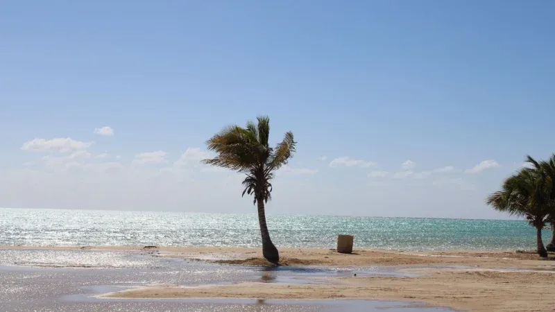 شاطئ الهيئة الملكية