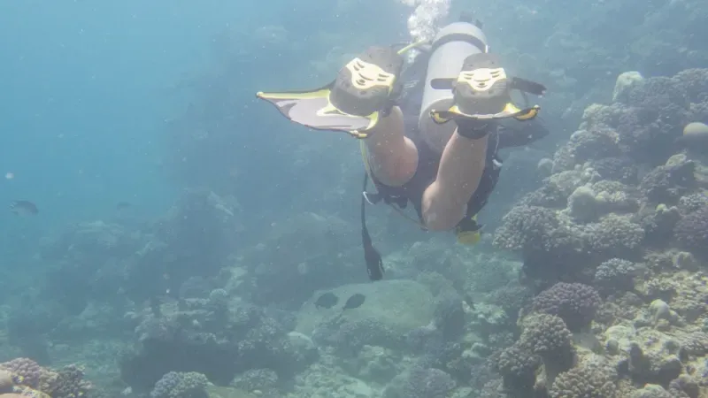 جزيرة جبل الليث