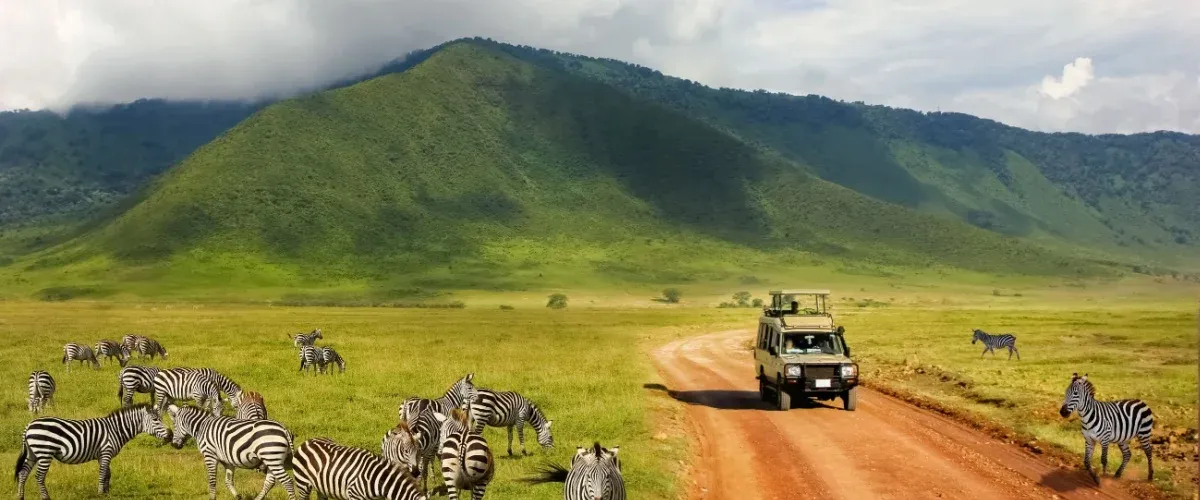 Things to Do in Tanzania: Experience the Wild Beauty of Africa