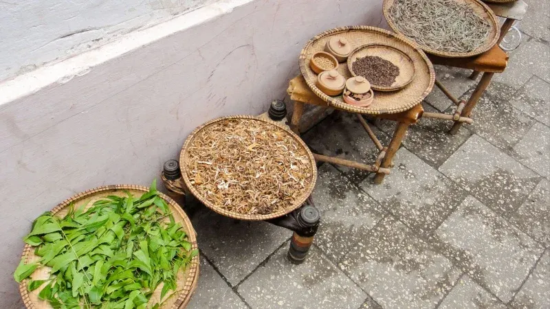 Go on a Spice Tour in Zanzibar