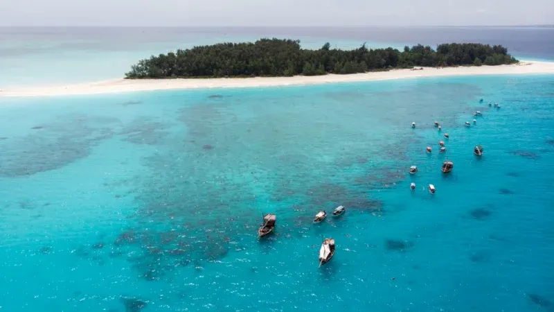 Dive or Snorkel at Mnemba Atoll