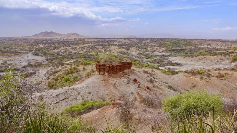 Explore Nyerere National Park (Selous Game Reserve)