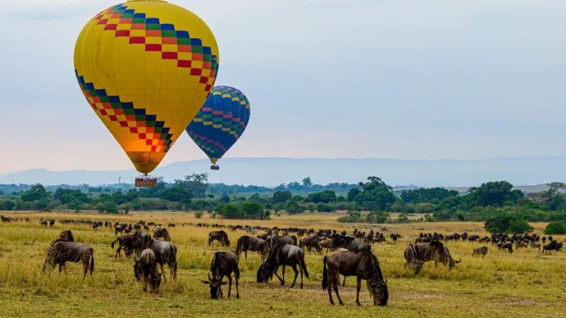 Take a Hot Air Balloon Safari