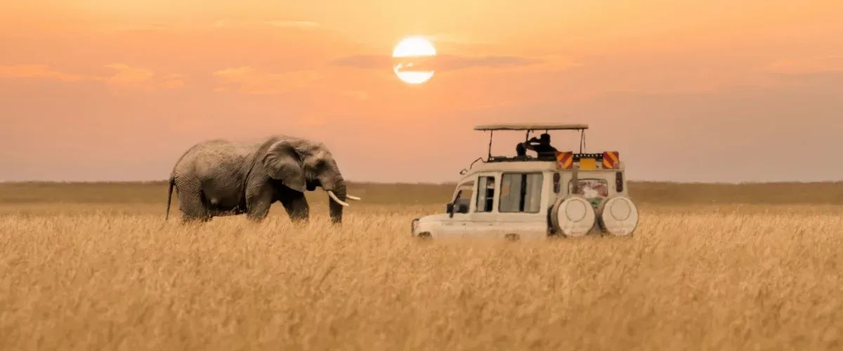 Here’s Where to Go for the Ultimate Safari in Kenya This Year