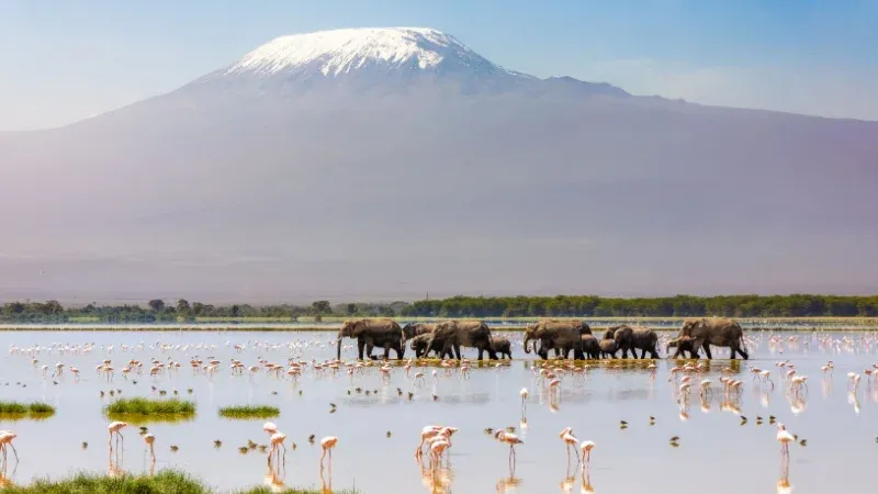 Amboseli National Park