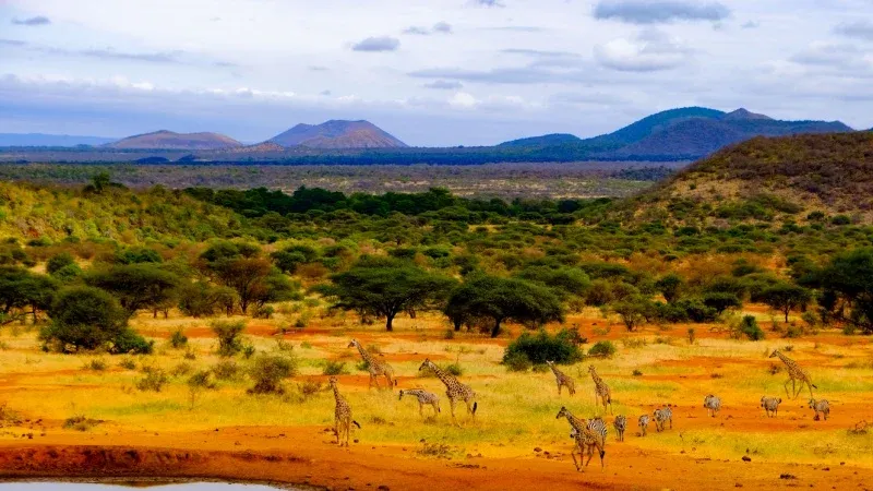 Tsavo National Park