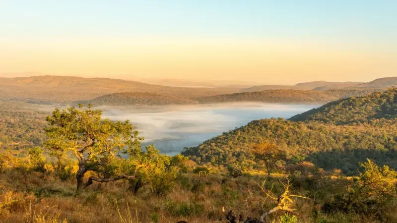 Hluhluwe–Imfolozi Park