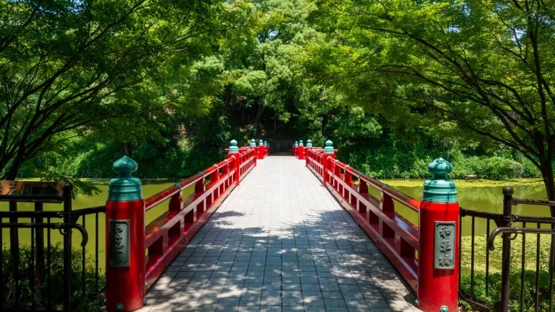 Relax in Tennoji Park