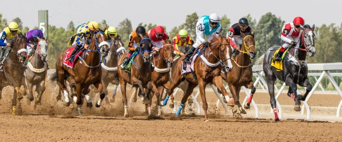 Taif Summer Racing Season 2025: Top Events, Dates and Highlights