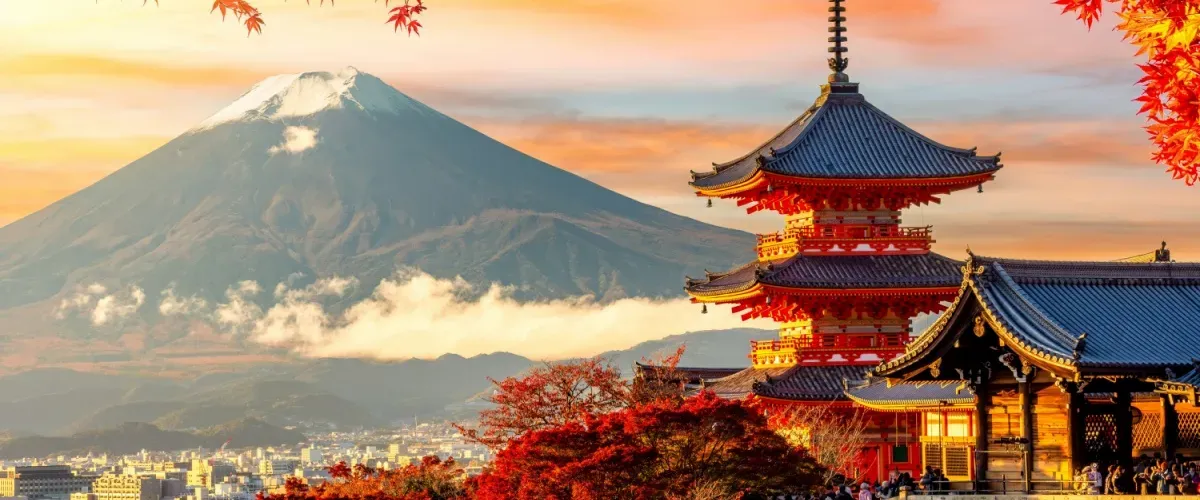Top Things to Do in Kyoto to Experience Japanese Culture