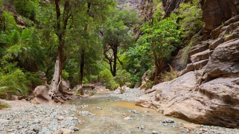 Wadi Lajab Trail (in the southern Sarawat)