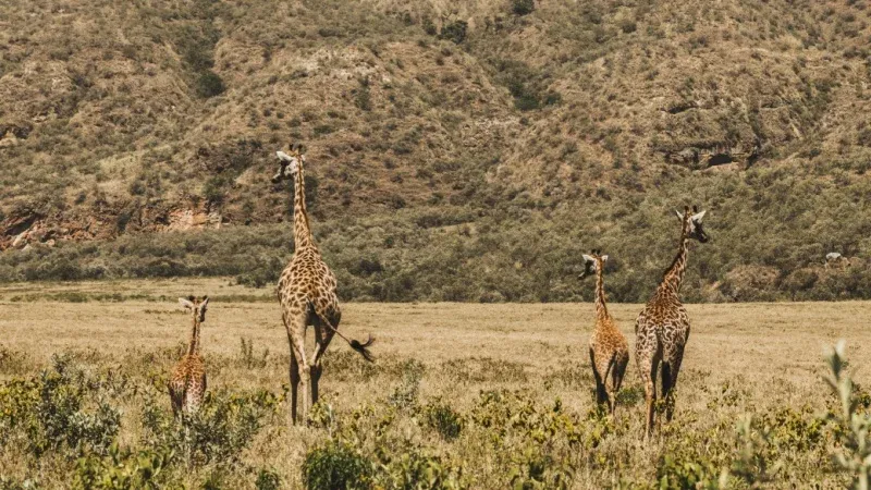 Arusha National Park