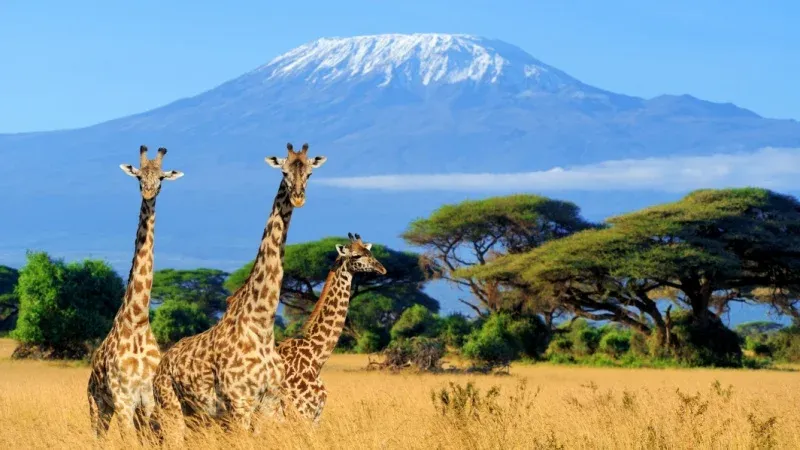 Mount Kilimanjaro National Park