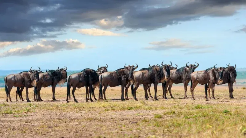 Serengeti National Park
