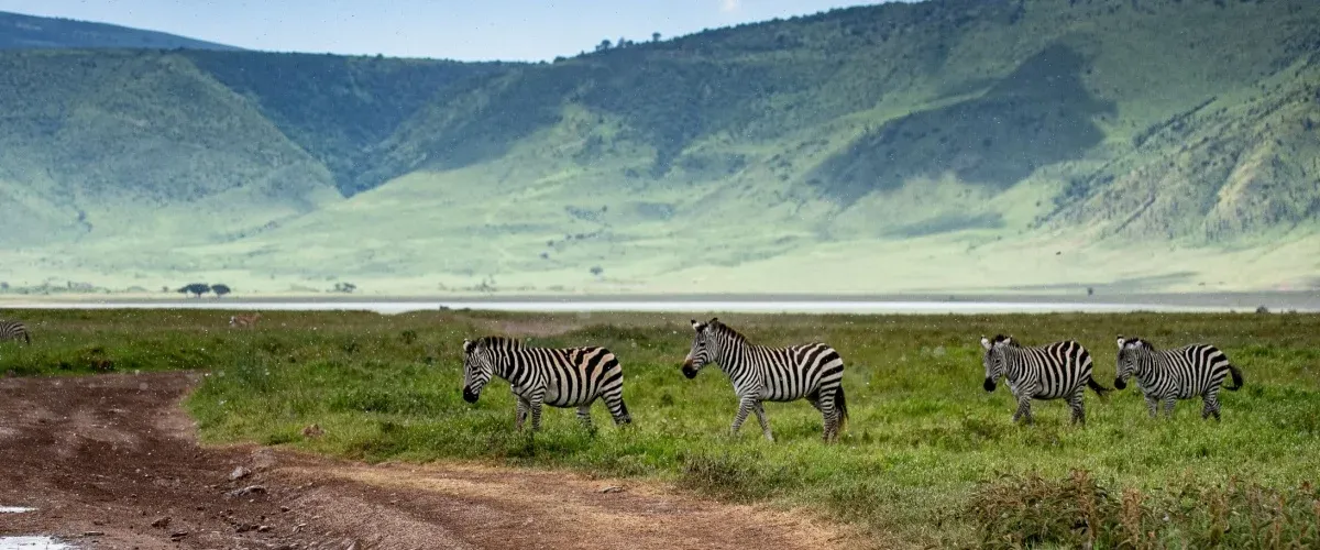 10 Iconic Parks and Reserves for an Epic Safari in Tanzania