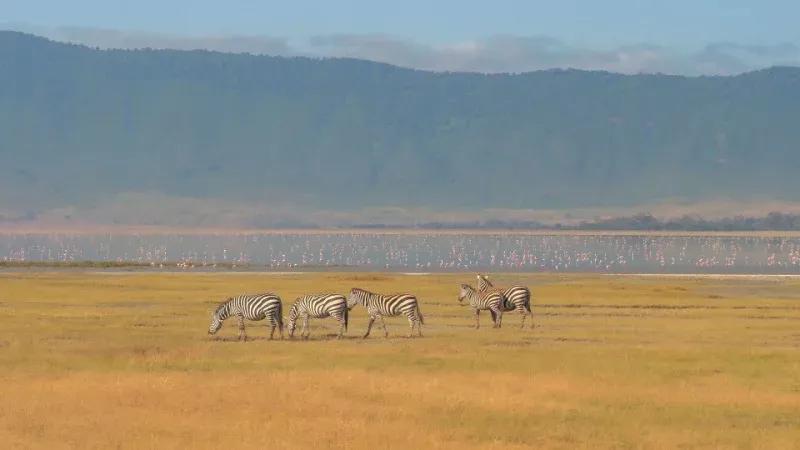 Ngorongoro Crater