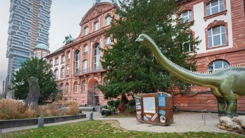 Senckenberg Natural History Museum, Frankfurt