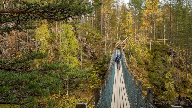 Hike in a Finnish National Park