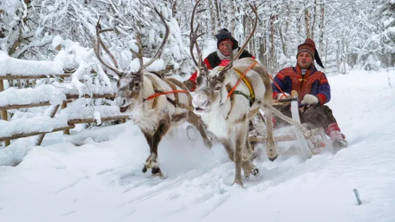Experience Sami Culture in Inari