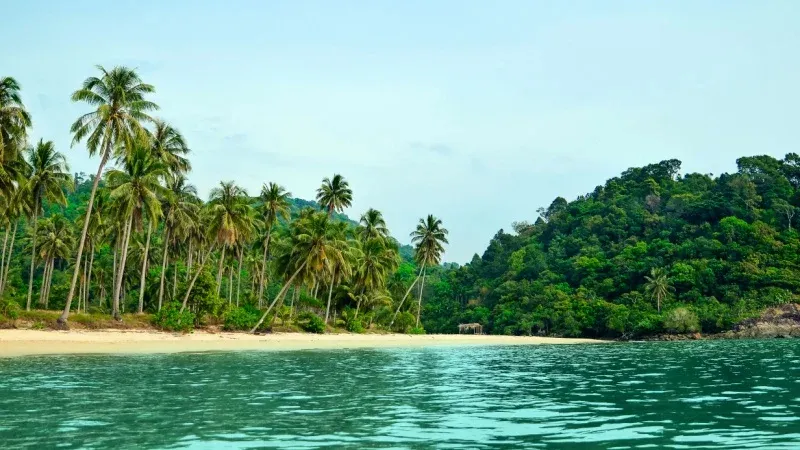 Long Beach, San Vicente