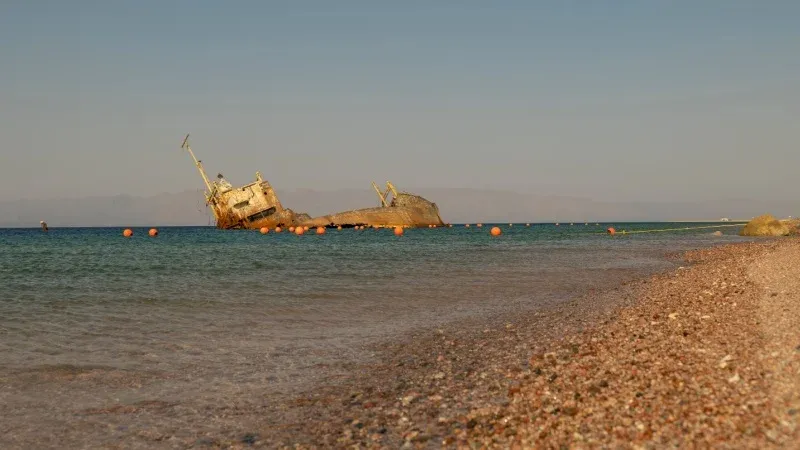 شاطئ النخيل