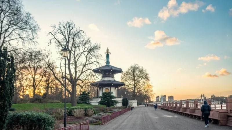 Go Ape Battersea Park