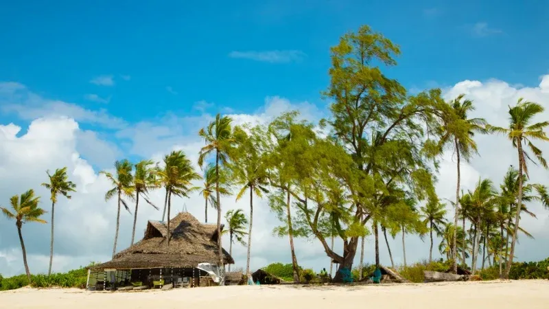Relax on the Sands of Diani Beach